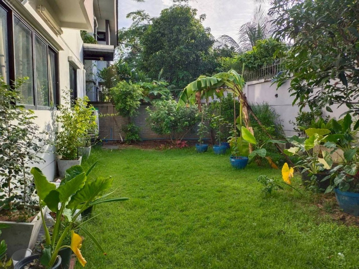 รูป ขายด่วน บ้านพร้อมสวนข้างบ้าน พื้นที่กว้างมาก - รูปที่ 2/5