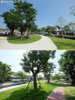 listing thumbnail image 21