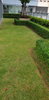 listing thumbnail image 50