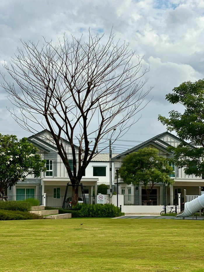 รูป ให้เช่า บ้านสวยพร้อมอยู่ | Villaggio 3 ศรีนครินทร์–บางนา by Land & Houses - รูปที่ 27/37