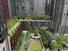 listing thumbnail image 9
