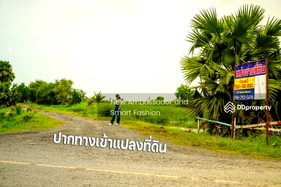 ที่ดิน นครนายก : ขายที่ดินเปล่าพระอาจารย์ องครักษ์ นครนายก 8แปลง 100-150ตรว