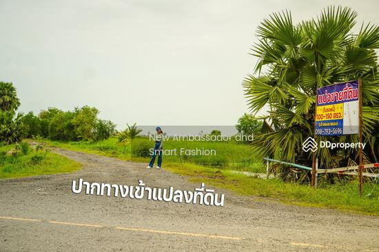 รูป ขายที่ดินเปล่าพระอาจารย์ องครักษ์ นครนายก 8แปลง 100-150ตรว - รูปที่ 1/5