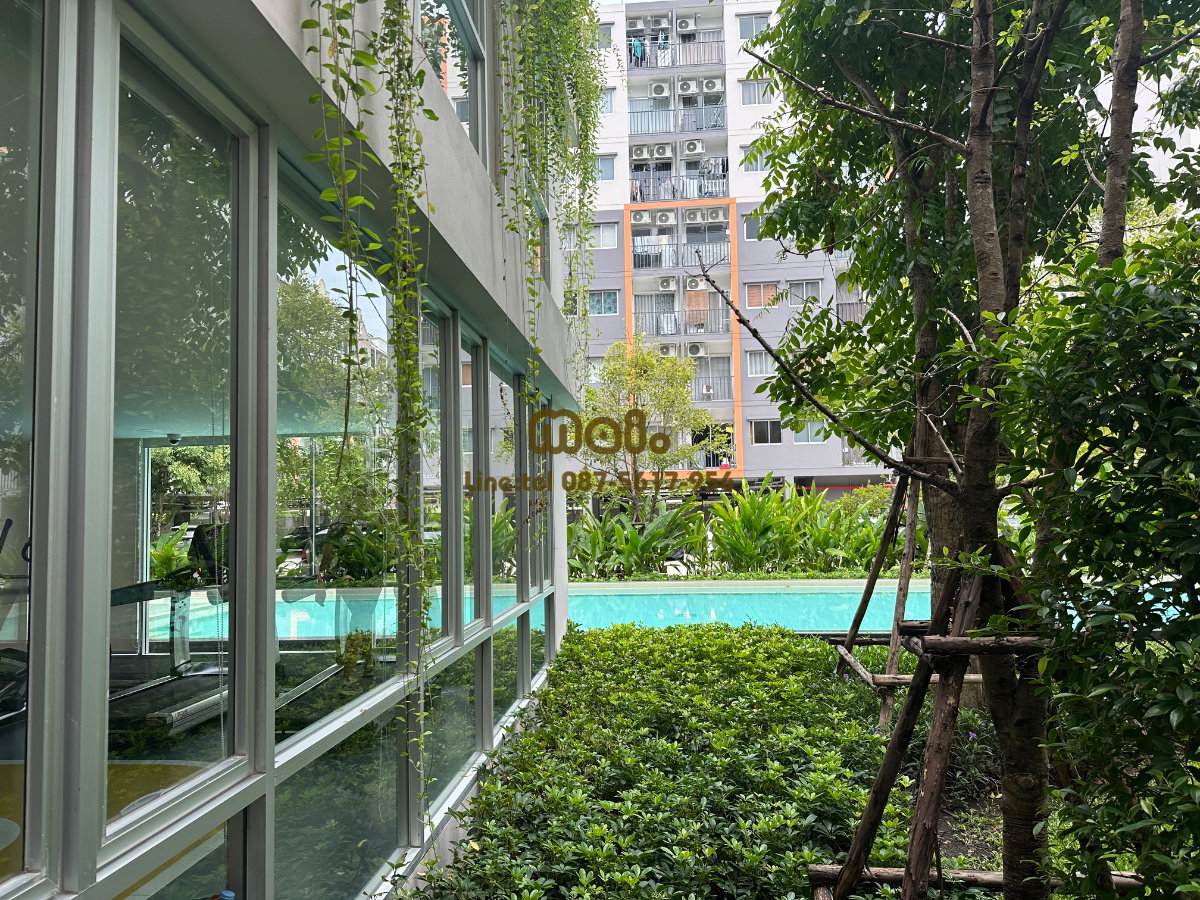 รูป ให้เช่า คอนโด เสนาคิทท์ เพชรเกษม 120  สาย4 - รูปที่ 9/11