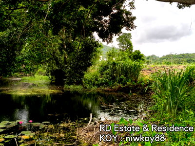 ขายที่ดิน : ขายที่ดินติดน้ำ เขาใหญ่ ถนนธนะรัชต์ ปากช่อง ที่ดินติดมินวินเทอร์ Midwinter 20ไร่ หน้ากว้างติดถนน ใกล้มอเตอร์เวย์ M6 Makro โรงพยาบาล โรงเรียนนานาชาติ