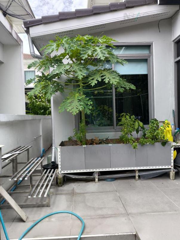 รูป 📌 ขายบ้านเดี่ยว โครงการ เพอร์เฟค เพลส พัฒนาการ-ศรีนครินทร์ 2 ชั้น 3 ห้องนอน 3 ห้องน้ำ - รูปที่ 3/8