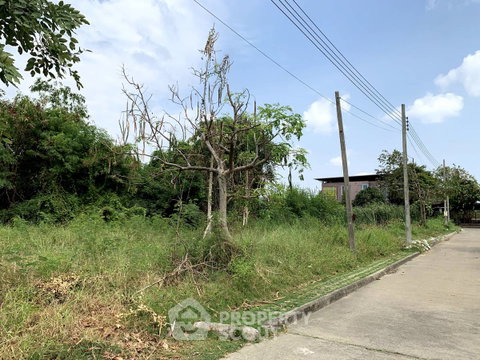 ขายที่ดิน Thep Thani Village โครงการเทพธานี วิลเลจ ดอกไม้ ประเวศ กรุงเทพ (7.13 ลบ.) (ID 3146127)
