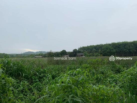 รูป ขายที่ดินเปล่า   อ.เขาสมิง จ. ตราด - รูปที่ 3/6