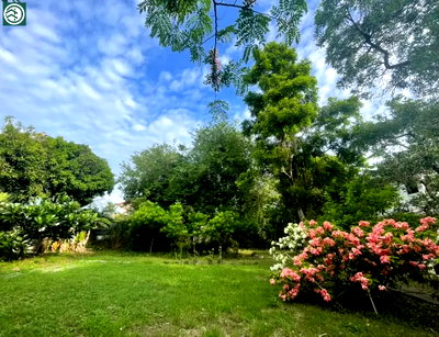 Land for sale Metropolitan Electricty Authority Samut Prakan : Call : 091-751-3045 Land For Sale Samut Prakan, Pak Nam, Mueang Samut Prakan District, Samut Prakan