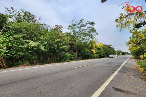 ขายที่ดิน 44 ไร่เศษ ถนนเลียบคลอง 11 หนองเสือ ปทุมธานี