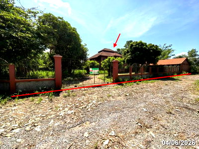 บ้านเดี่ยว เชียงใหม่ : บ้านเดี่ยว 288 ตร.วา ดอยหล่อ เชียงใหม่ 2.5M