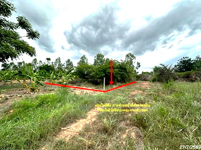 ที่ดิน ม.นเรศวร : ที่ดินว่างเปล่า 55.3 ตร.วา เมืองพิษณุโลก พิษณุโลก 332,000