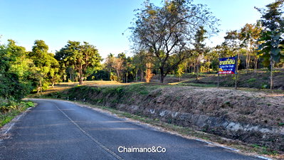 Land for sale Chiang Mai : Land for sale 11Rai 3 ngan 99 Sq.wah with mountain view in ChomThong Chiangmai.
