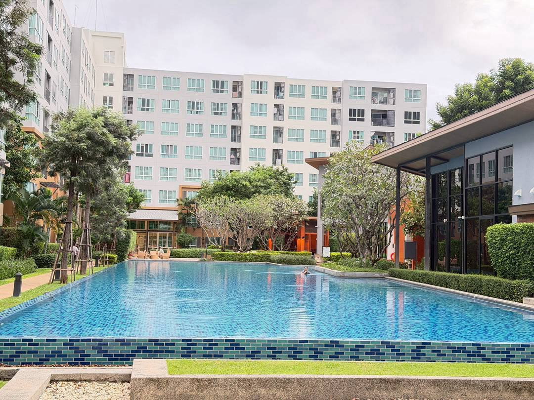 🎊🏙️ ให้เช่า Dcondo Nim Chiang Mai | ชั้น 8 วิว Central Festival | พร้อมเข้าอยู่