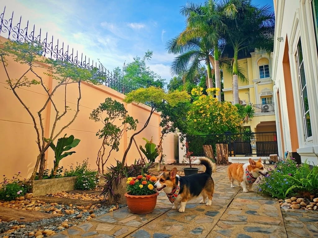 รูป 🐶🐱 **เลี้ยงสัตว์ได้**🏡 **ให้เช่า Urban Sathorn (สาทร–ราชพฤกษ์)** - รูปที่ 5/20