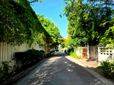 Land for sale Metropolitan Electricty Authority Samut Prakan : For sale: House with land, 191 sq.wa (large plot), Rare Item!! Soi Boon Siri, near BTS Royal Thai Navy Academy, Pak Nam.