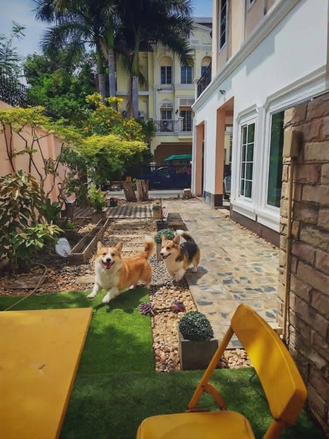 รูป 🐶🐱 **เลี้ยงสัตว์ได้**🏡 **ให้เช่า Urban Sathorn (สาทร–ราชพฤกษ์)** - รูปที่ 9/20