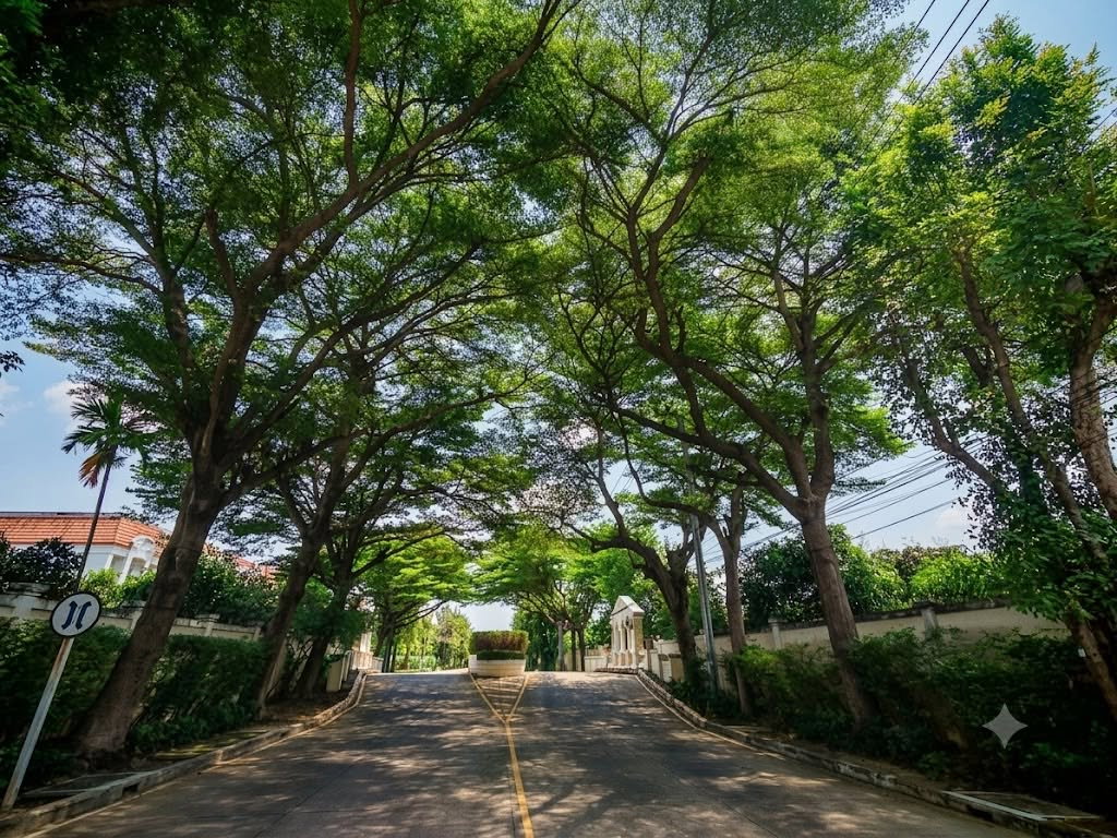 รูป 🐶🐱 **เลี้ยงสัตว์ได้**🏡 **ให้เช่า Urban Sathorn (สาทร–ราชพฤกษ์)** - รูปที่ 18/20