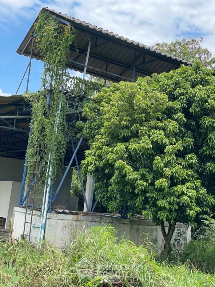 รูป ที่ดินเปล่าขาย หมู่บ้านศิลปิน หัวหิน หินเหล็กไฟ (ID 1553004) - รูปที่ 6/19
