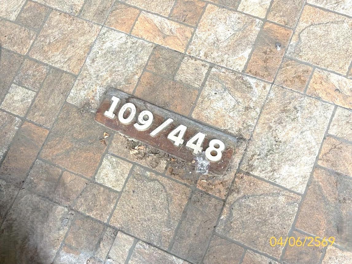รูป ทาวน์เฮ้าส์ 16.7 ตร.วา ธันยพฤกษ์ ธัญบุรี ปทุมธานี 970,000 - รูปที่ 29/33