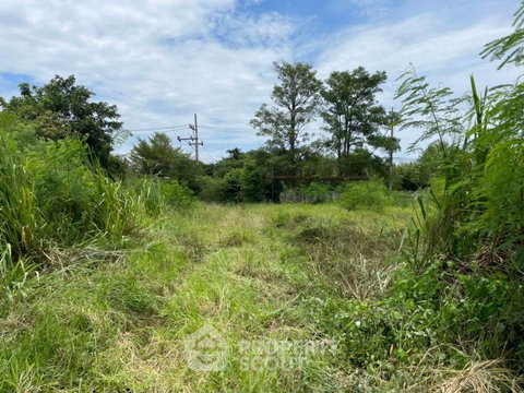 ที่ดินเปล่าขาย หมู่บ้านศิลปิน หัวหิน หินเหล็กไฟ (ID 1553004)