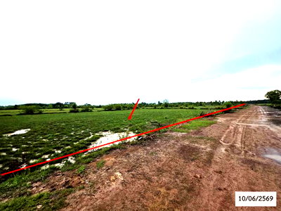 ขายที่ดิน : ที่ดินว่างเปล่า 16560 ตร.วา ศรีสงคราม นครพนม 2.7M
