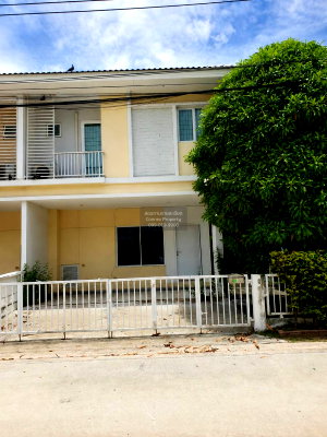 Townhouses for sale : For Sale House , The Plant Klong Bangpai Station , Ban Mai , Bang Yai , Nonthaburi , CX-167939 ✅ Live chat with us ADD LINE @connexproperty ✅