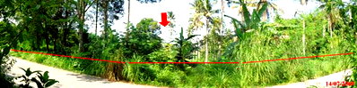 LAND 2280.4 Sq.w. Ruso Narathiwat for 1.1M