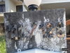 listing thumbnail image 18