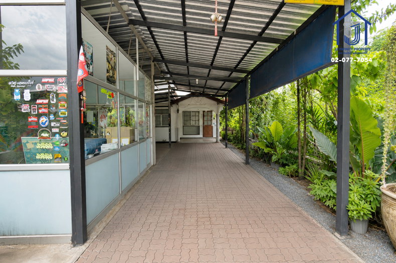 รูป ขายบ้านเดี่ยว 100 ตารางวา ซอยคลองสาม1 / 11  ถนนรังสิต-นครนายก ใกล้ทางด่วนวงแหวนกาญจนาภิเษก - รูปที่ 3/10