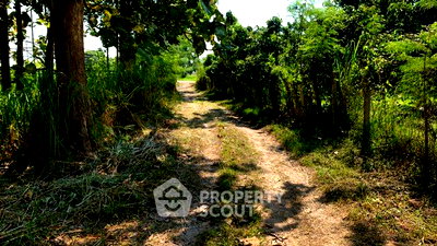 Land for sale Chiang Mai : Land For Sale In Nam Bo Luang, San Pa Tong, Chiang Mai (ID 3170090)
