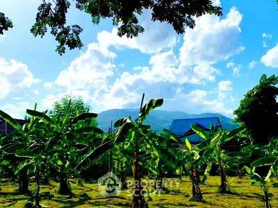 Land for sale Chiang Mai : Land For Sale Near Chiang Mai International Airport (ID 3165835)
