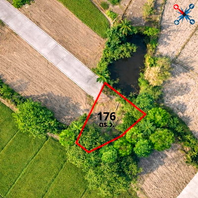 Land for sale Chiang Mai : Filled Land Plot 176 Sq.wah Ready to Build with Beautiful Views, Safe Area and Flood-Free, , Ideal for Building a Home