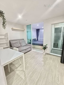 For Rent Condo REGENT HOME SUKHUMVIT 97/1 Building B, Floor 8,1 bed room, Room size 28 sqm