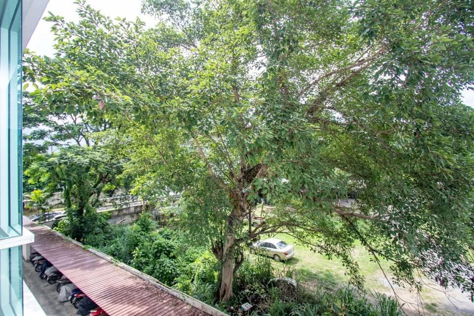 รูป 🌳🏙️ ขาย One Plus Klong Chon 1 Condo | วิวสวน | มีโควต้าต่างชาติ | ใกล้ มช. - รูปที่ 10/11