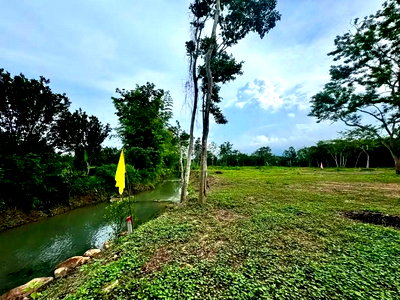 ที่ดิน นครนายก : ขายที่ดินพร้อมโฉนดที่สวยมีน้ำไหลผ่าน
