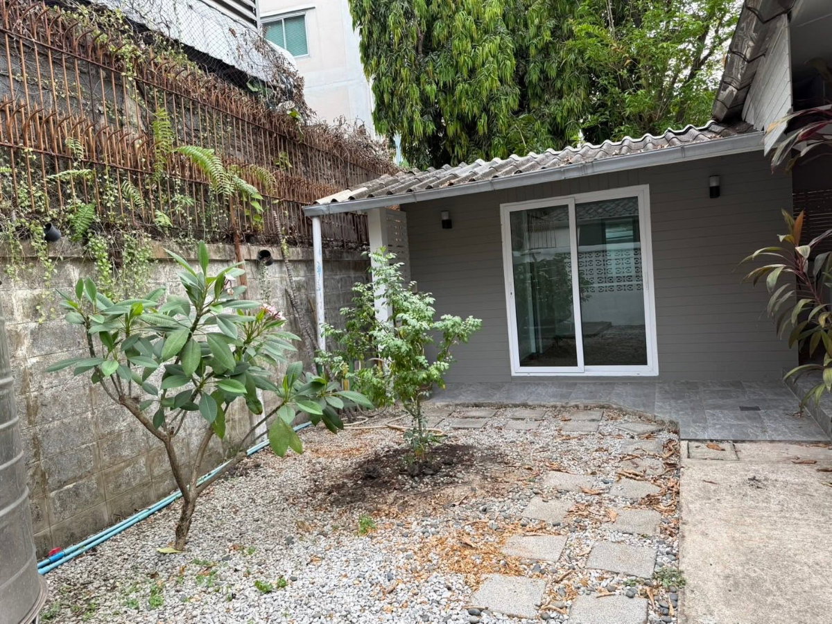 รูป P0841/[ให้เช่า] บ้านเดี่ยวชั้นเดียว Pet-Friendly ใจกลางทองหล่อ - รูปที่ 3/11
