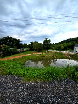 ที่ดิน นครนายก : ขายที่ดินวิวสวยริมคลอง นครนายก