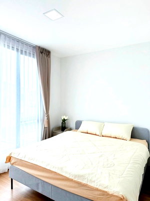 เช่าทาวน์โฮม เมกะ บางนา : ✨ให้เช่า Town House พลีโน่ สุขุมวิท บางนา2 ✨LineID: @Propvel (มี@ ข้างหน้า)✨