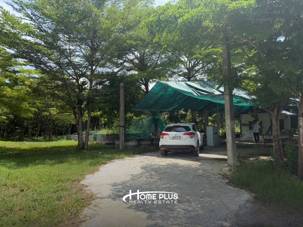 รูป 🌍 ขายที่ดินถมแล้ว 2 ไร่ ทำเลศักยภาพ หนองจอก กรุงเทพฯ   - รูปที่ 3/6