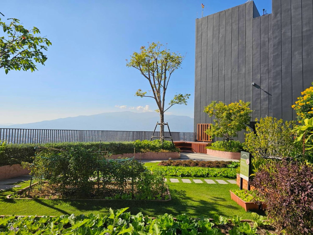 picture 🔥 For Sale: Luxury ,Chiang Mai! Walk to Central Festival! 🔥 - 37/57