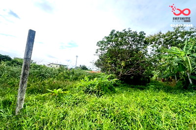 ที่ดิน โรงเรียนนานาชาติเด่นหล้า : ขายที่ดิน 43 ตร.ว. ซอยไทรม้า 8 ท่าอิฐ ปากเกร็ด นนทบุรี