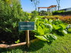listing thumbnail image 37