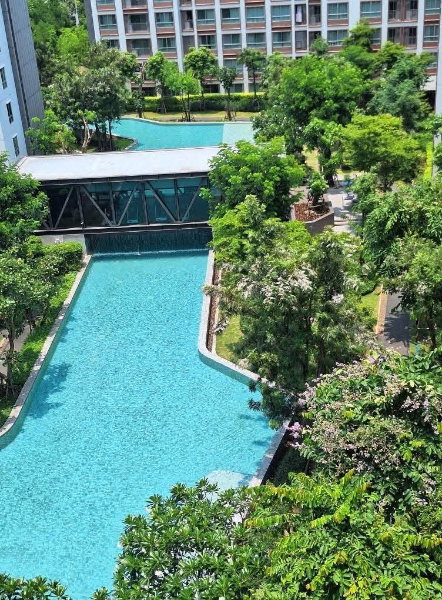 รูป ให้เช่าD Condo Ping ชั้น 6 ขนาด 37 ตรม.  ☎️(ตุ๊ก) 098-396-3626 - รูปที่ 9/9