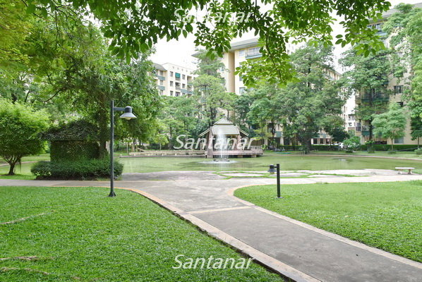รูป ให้เช่าคอนโด เดอะพาร์คแลนด์บางนา เฟอร์และเครื่องใช้ไฟฟ้าครบ ไม่มีตึกบังไม่ชนกับใคร  - รูปที่ 11/13