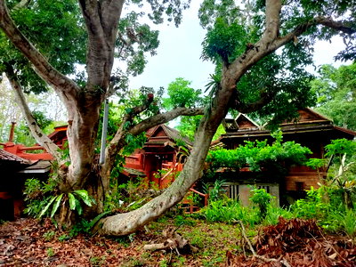ที่ดิน สนามกีฬาสมโภชเชียงใหม่ 700 ปี : ที่ดิน3ไร่แถมบ้านสวนแม่ริมเชียงใหม่