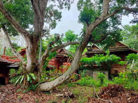 ที่ดิน3ไร่แถมบ้านสวนแม่ริมเชียงใหม่
