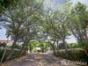 listing thumbnail image 13