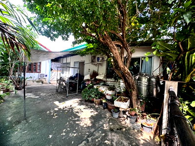 บ้านแฝด สนามบินสุวรรณภูมิ : ขายบ้านแฝด หมู่บ้านนักกีฬาแหลมทอง ซอยกรุงเทพกรีฑา ใกล้ MRT ศรีกรีฑา (N.1784)