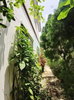 listing thumbnail image 3